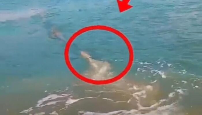 Dugaan Limbah Mengalir ke Laut Banyuglugur, Warga Desak Pemerintah Bertindak Sebelum Terlambat